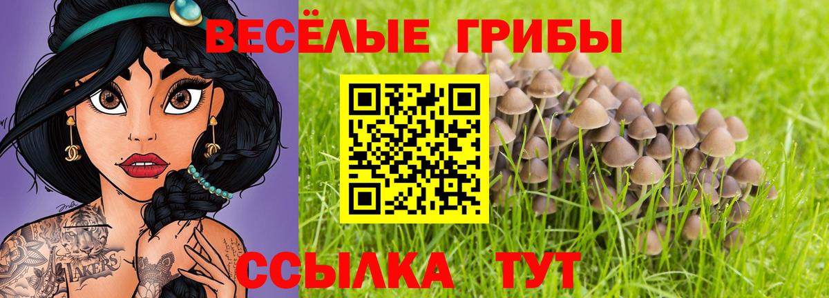 Псилоцибиновые грибы Psilocybine cubensis  Псилоцибиновые грибы MAGIC MUSHROOMS  Вход с VPN  Урай 